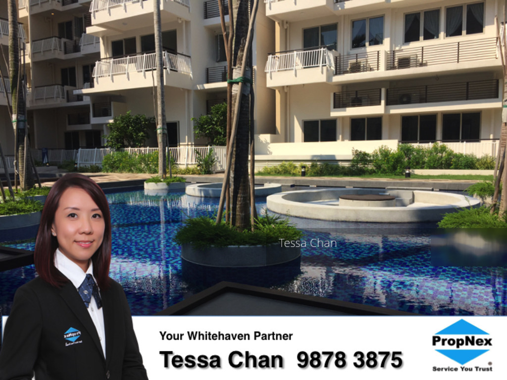 Whitehaven (D5), Apartment #142228542